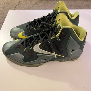 Nike Lebron 11 Dunkman